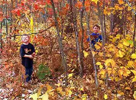 Two children playing among colorful autumn leaves in a forest. one child is smiling and running towards the camera, the other is standing still.