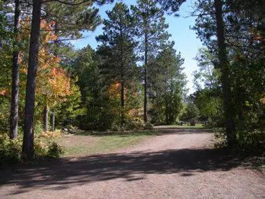 Dirt path winding through a serene forest with tall pines and a few scattered deciduous trees showing early autumn colors under a clear blue sky.