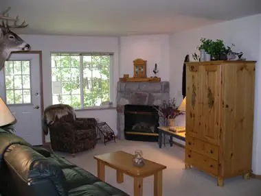 Cozy living room with a green sofa, wooden furniture, a fireplace, and a mounted deer head above the fireplace.