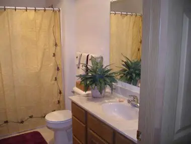 A small bathroom with a toilet, wooden vanity, sink, and mirror, accented with a yellow shower curtain and potted green plants.